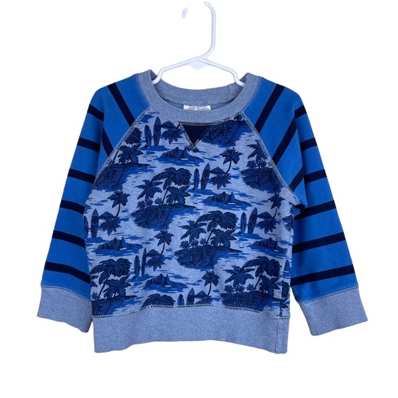 Hanna Andersson Hawaiian Surfer Crewneck Sweatshirt - Picture 1 of 6